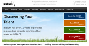 Iridium Consulting